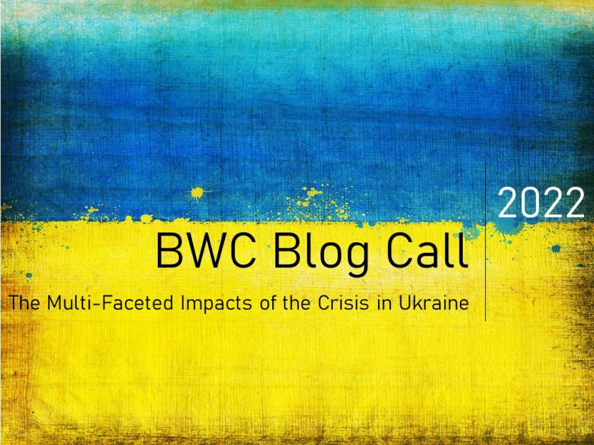 Ukraine Blog Flyer